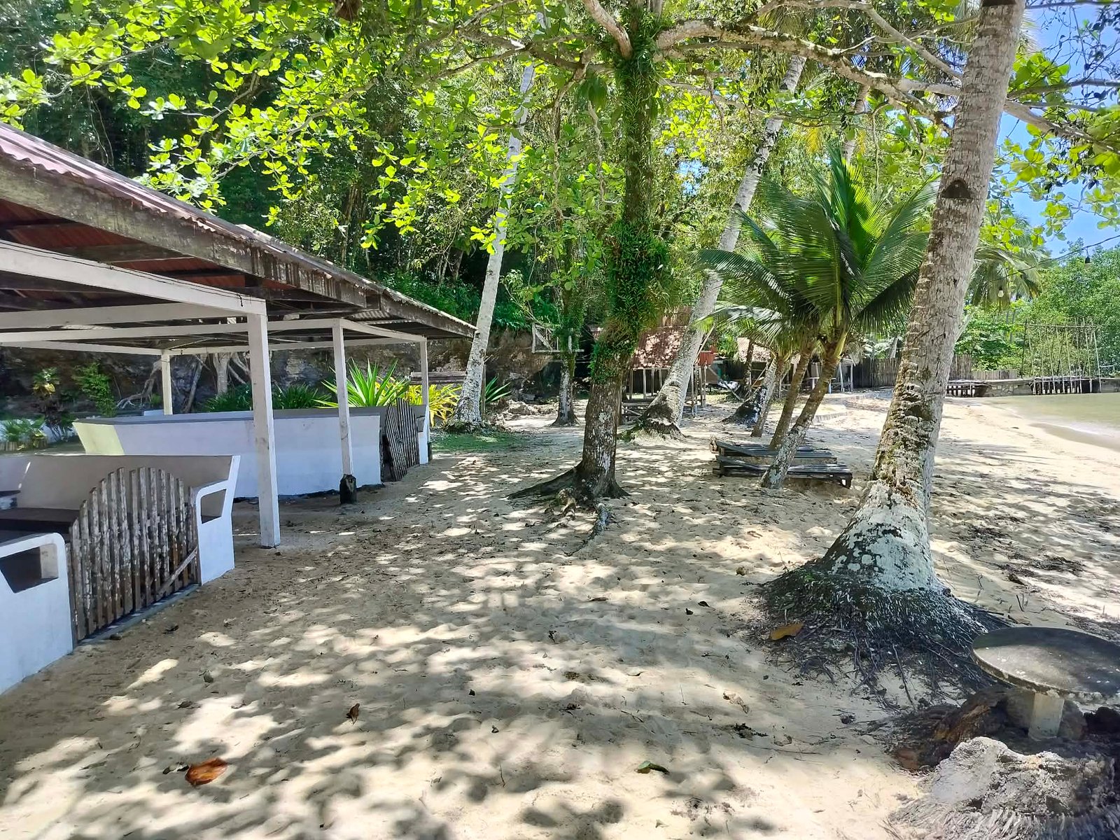 Beach Van